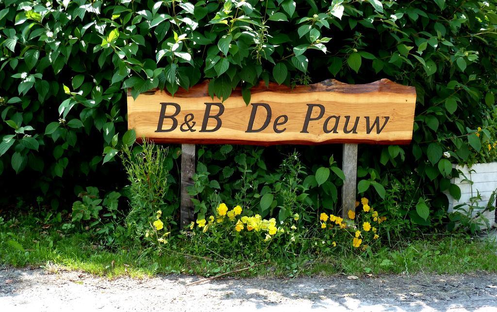 Wieringerwaard Bed En Breakfast De Pauw חדר תמונה