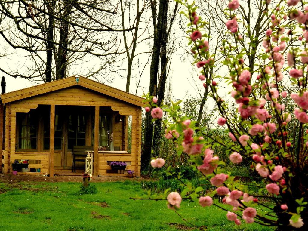 Wieringerwaard Bed En Breakfast De Pauw חדר תמונה
